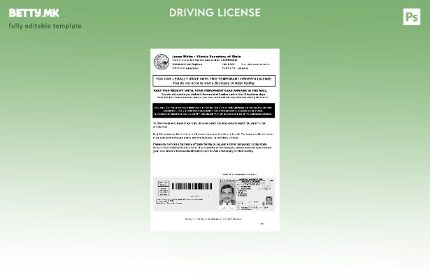 Модерен стил, шаблон за привремена возачка дозвола во САД Илиноис